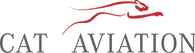 Cat Aviation logo