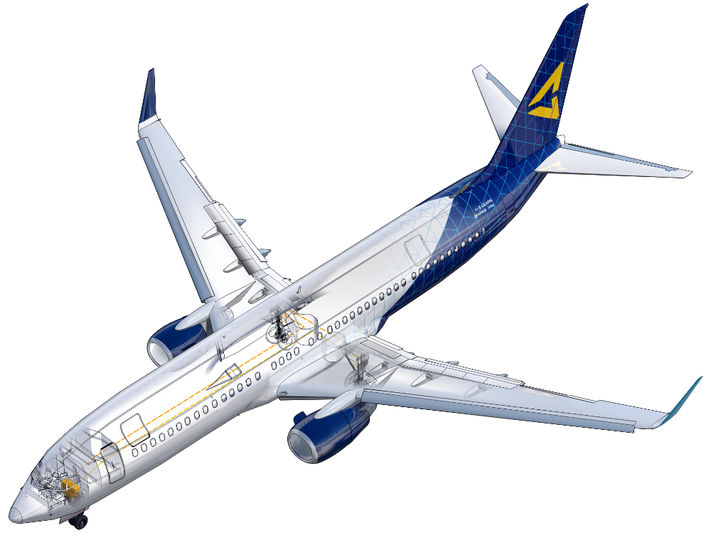 X-ray reference 1