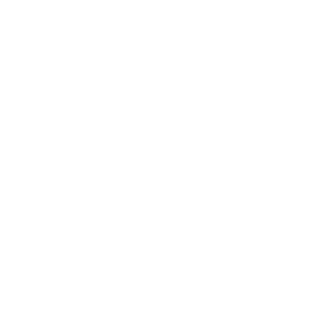 scandlearn-client-phi-white