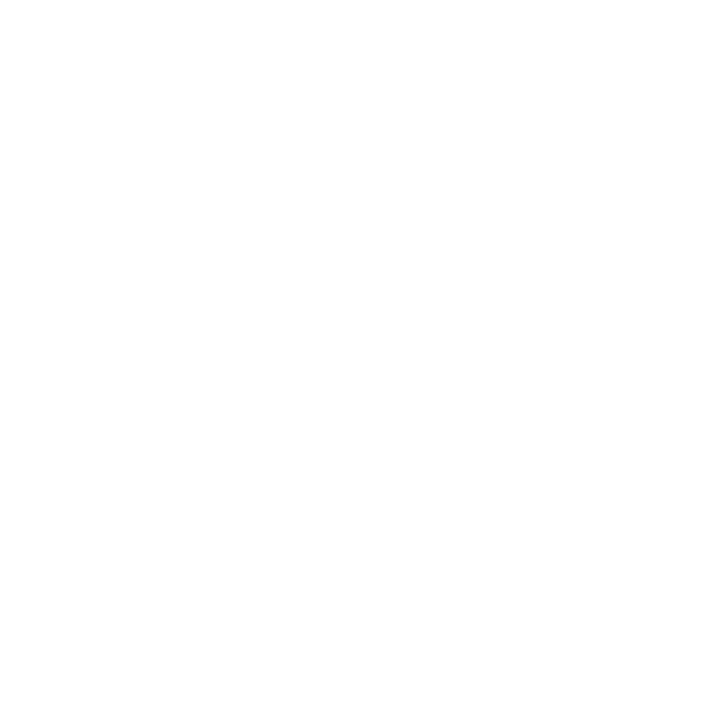 scandlearn-client-wizz-white